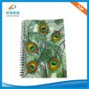 Colorful PP cover spiral notebook
